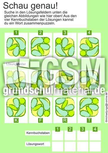 08-05 d schau genau.pdf